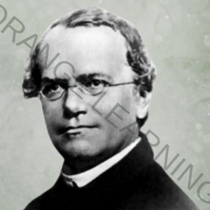 Gregor Mendel