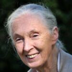 Jane Goodall