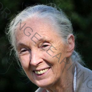 Jane Goodall